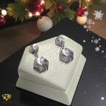 Bông tai vàng trắng (mã BT 12412)